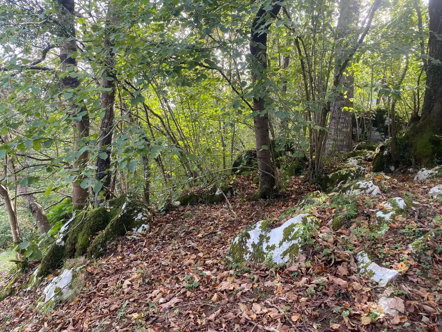 Grundstücke und Bauplätze zum Verkauf in Villar, imagen 5