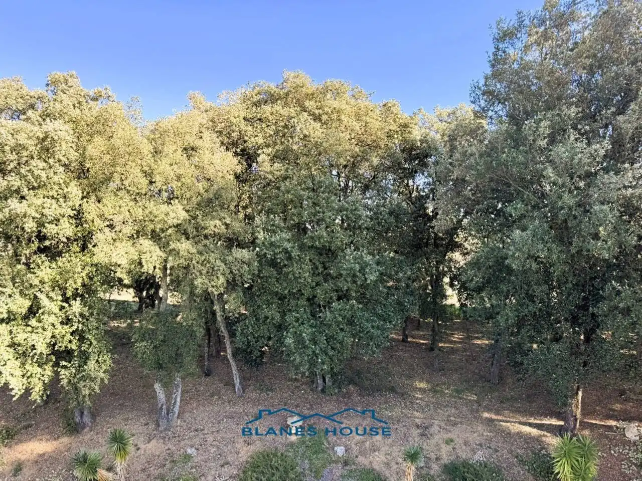 Finca rústica en venda en Sant Feliu de Buixalleu amb Calefacció, Jardí privat i Terrassa