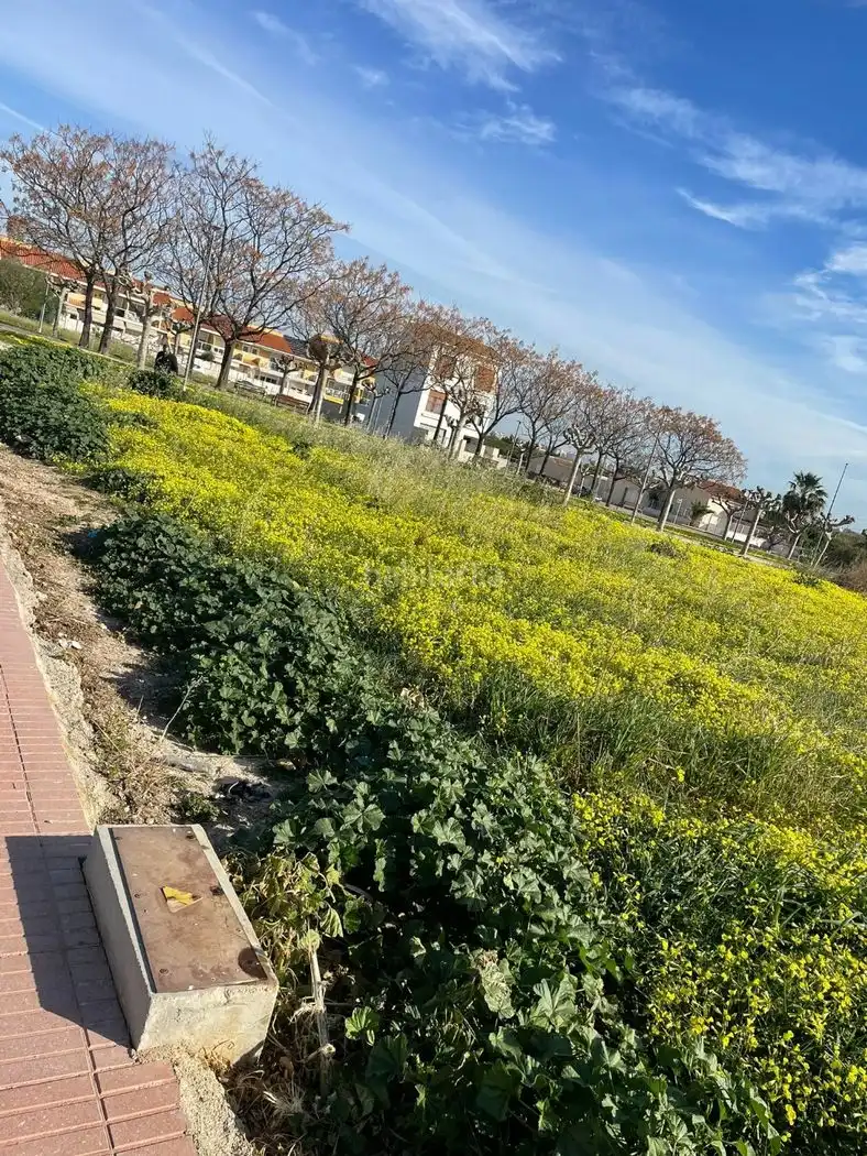 Residential land for sale in Carrer Corts Valencianes de L 17, imagen 5