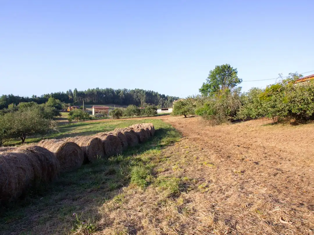 Terreno residencial en venta en Lugar el Cuadro 24, imagen 9