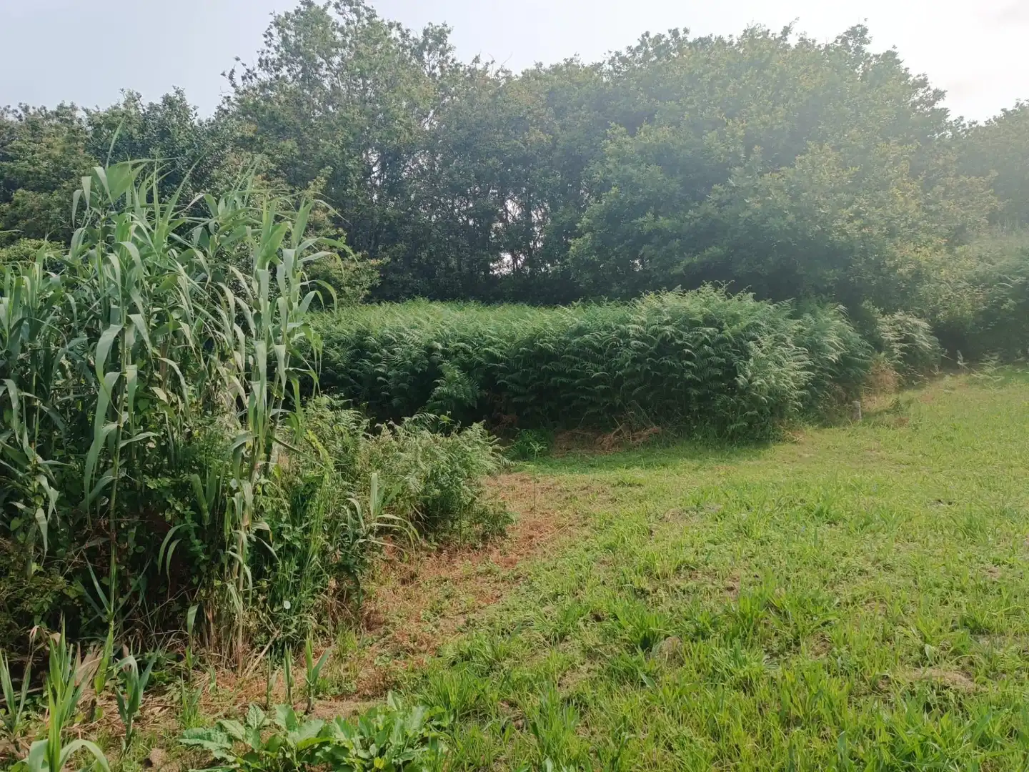 Rural land for sale in Camino SAN XURXO-SAIANS 20, imagen 11