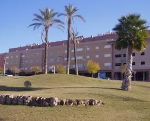 Flat to rent in Calle Pp-o1 Vial K, El Valle