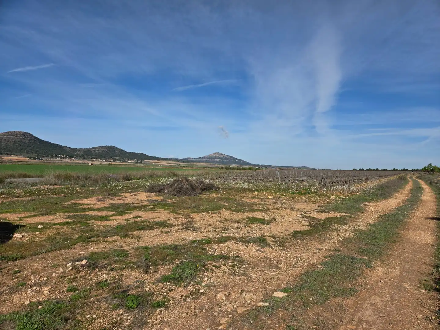 Residential land for sale in Yecla, imagen 4