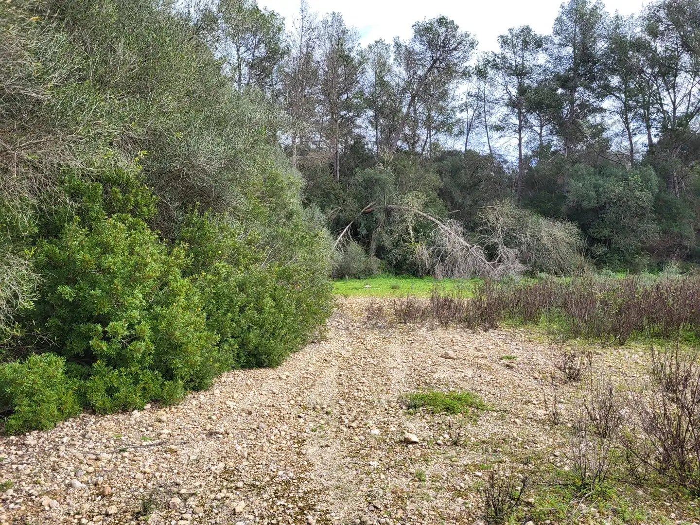 Terreni e lotti in vendita a Sant Joan, imagen 18