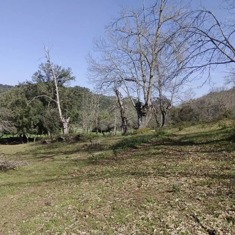 Finca rústica en venta en Cortelazor