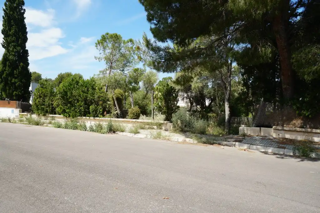 Rural land for sale in Bacarés - Manresa - Bonaire, imagen 16