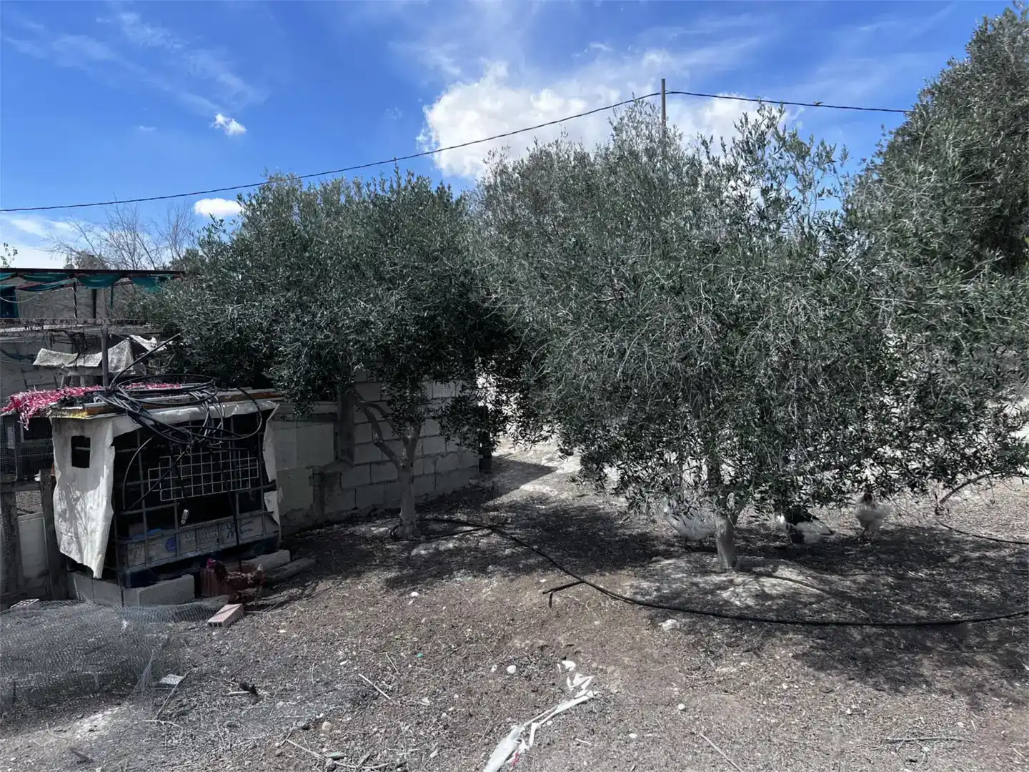 Finca rústica en venda en Las Torres de Cotillas, Murcia