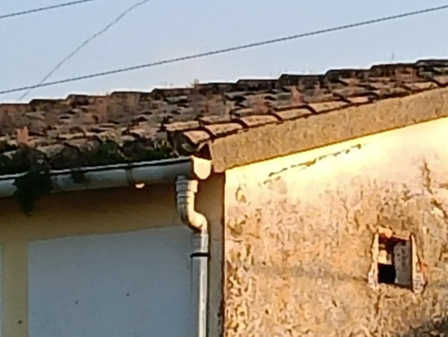 Maison à vendre à Oeste, imagen 27