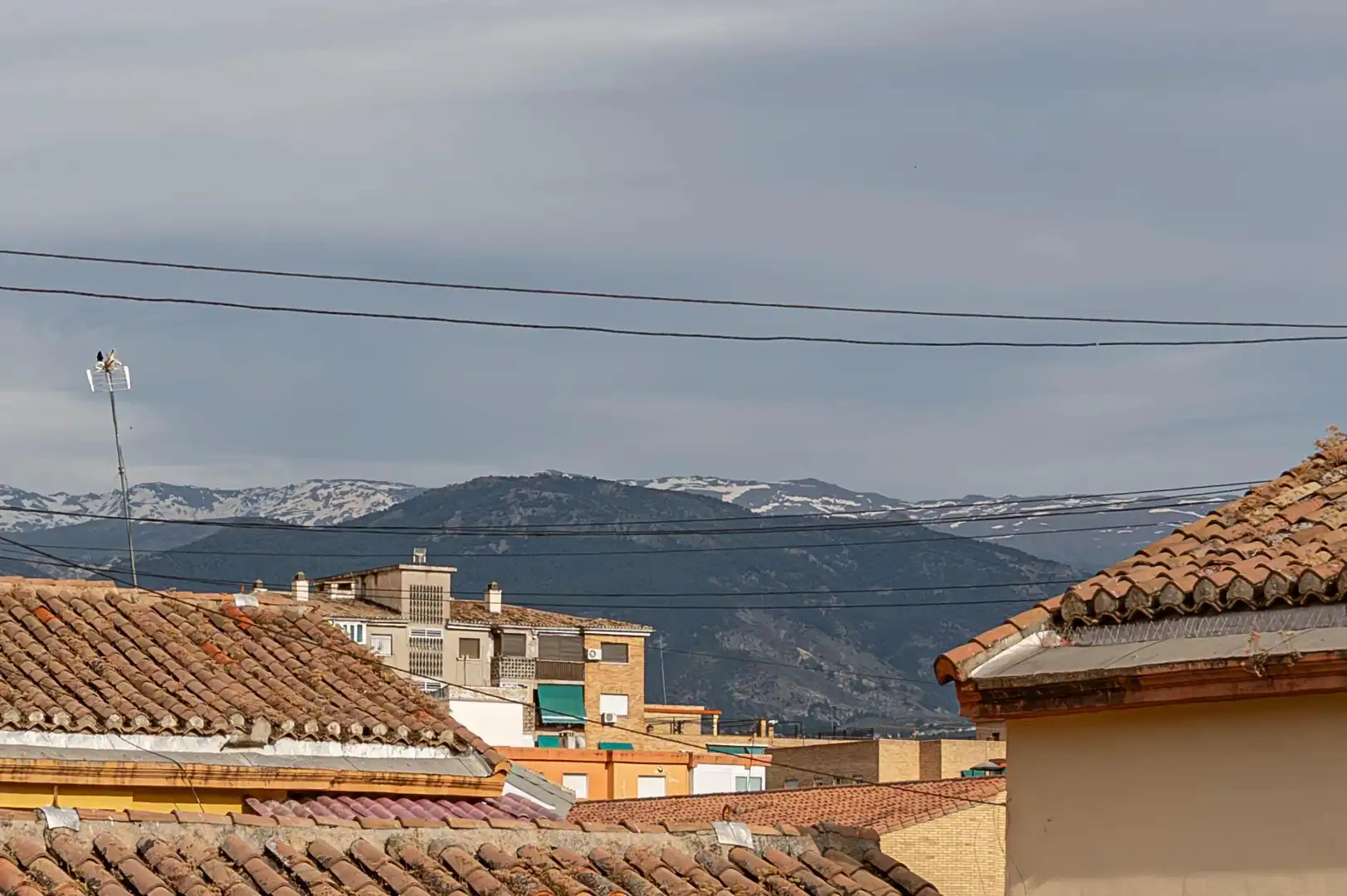 Exterior view of Flat for sale in Granada