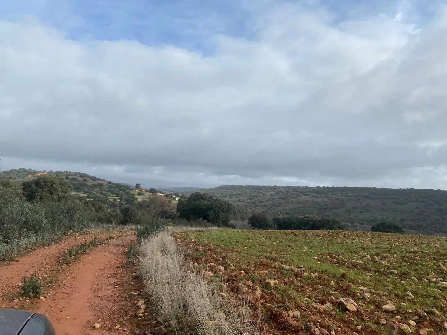 Terreno en venta en Anchuras