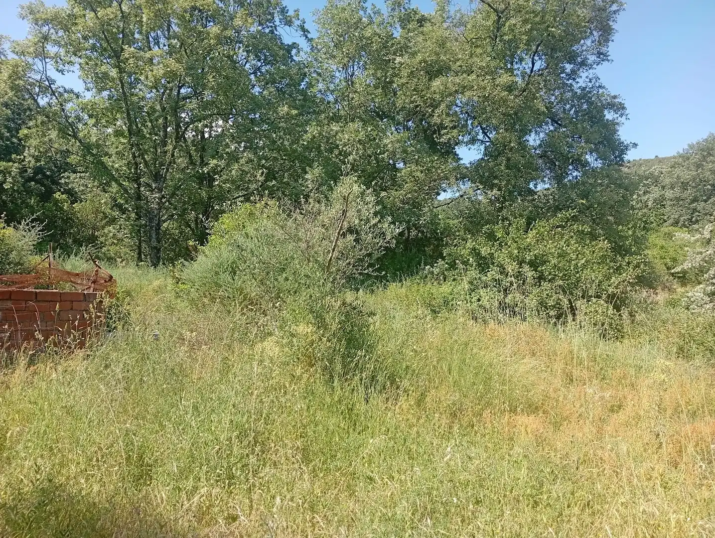 Terreni e lotti in vendita a Villanueva de la Vera, imagen 54