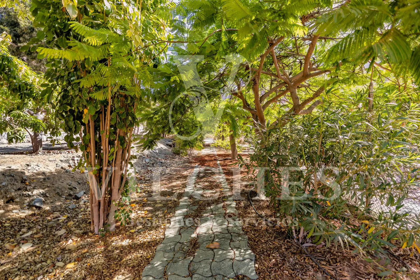 Garten von Grundstücke zum Verkauf in Mogán
