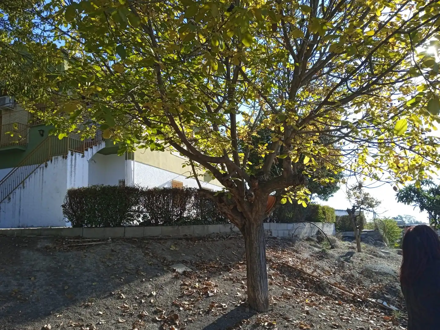 Casa en venda a Íllora, imagen 14
