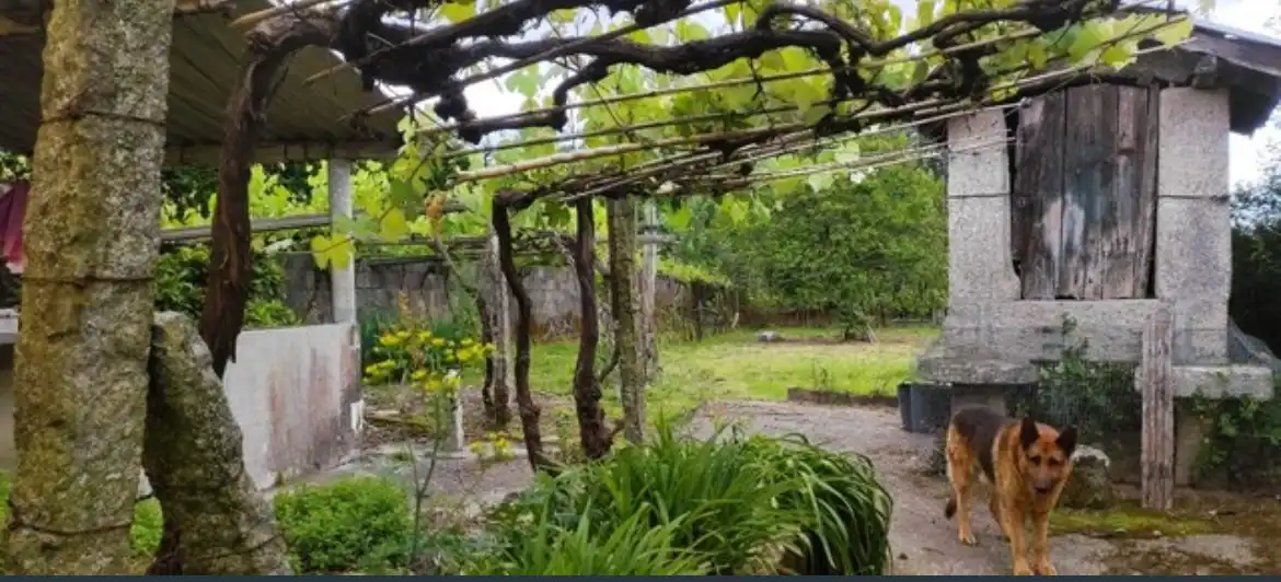Casa con jardín en venta en PO-261, imagen 24