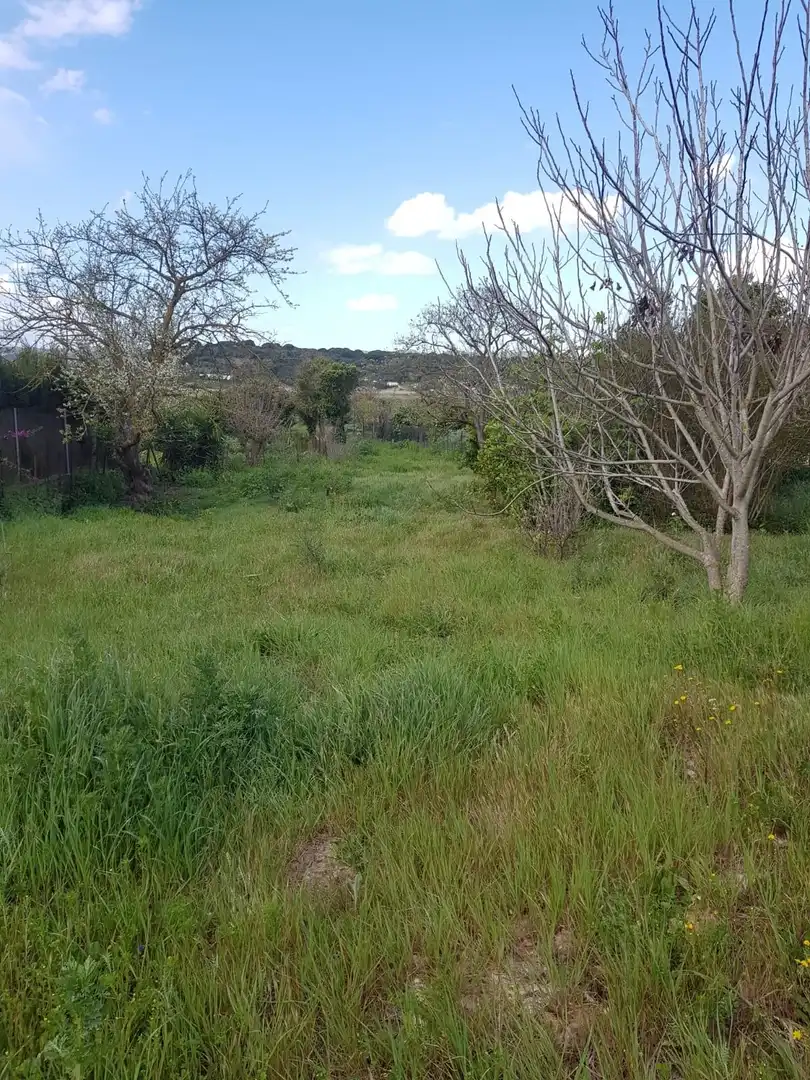 Terreno en venta en Barbate
