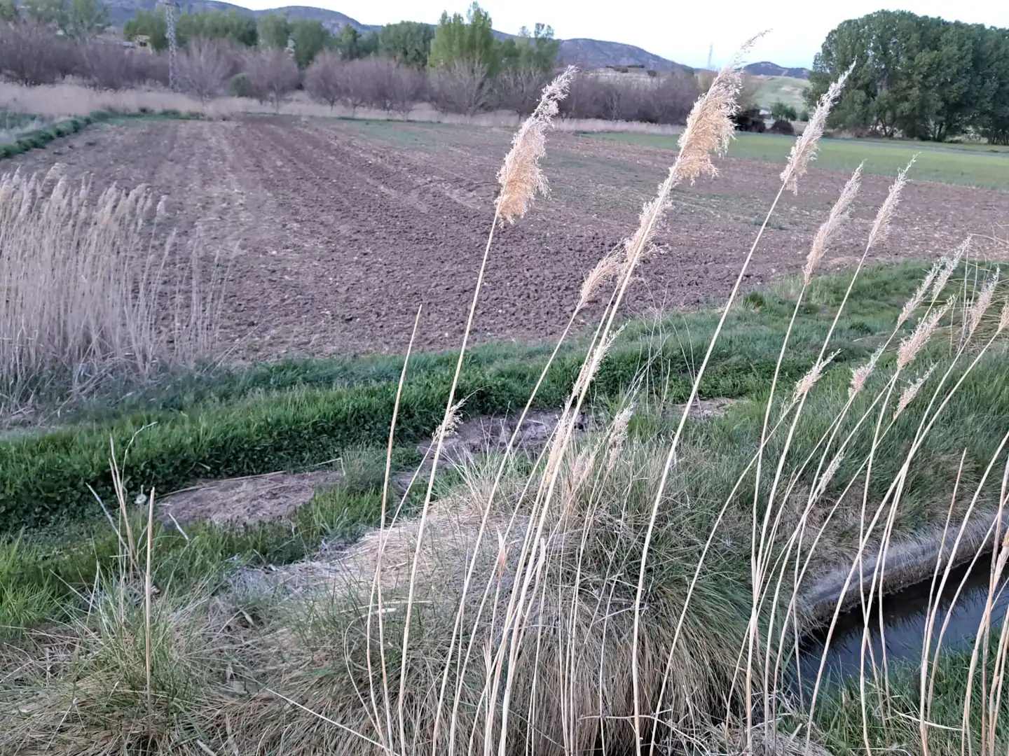 Land for sale in Cuenca