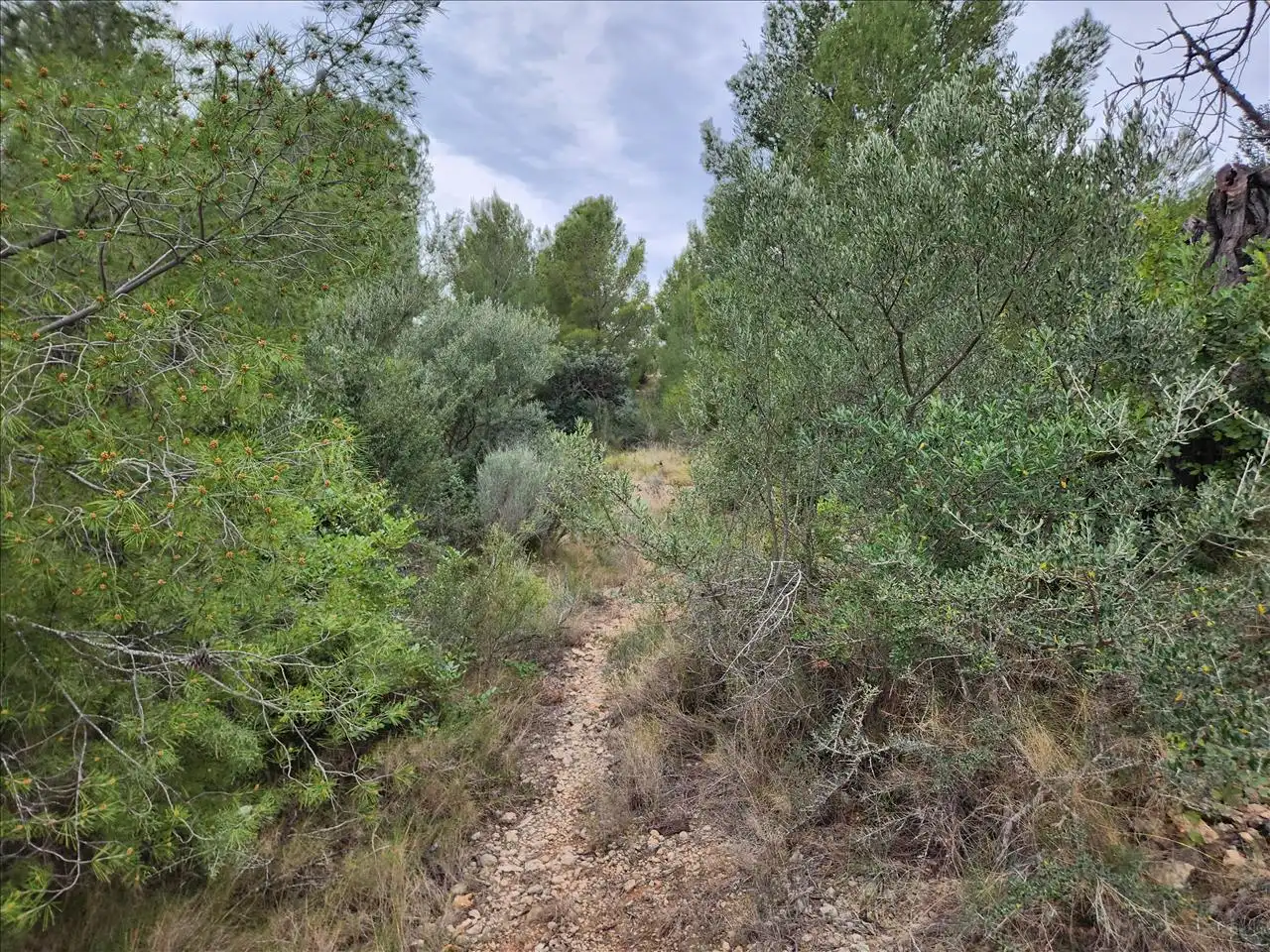 Residential land for sale in Pl Número 115, imagen 6