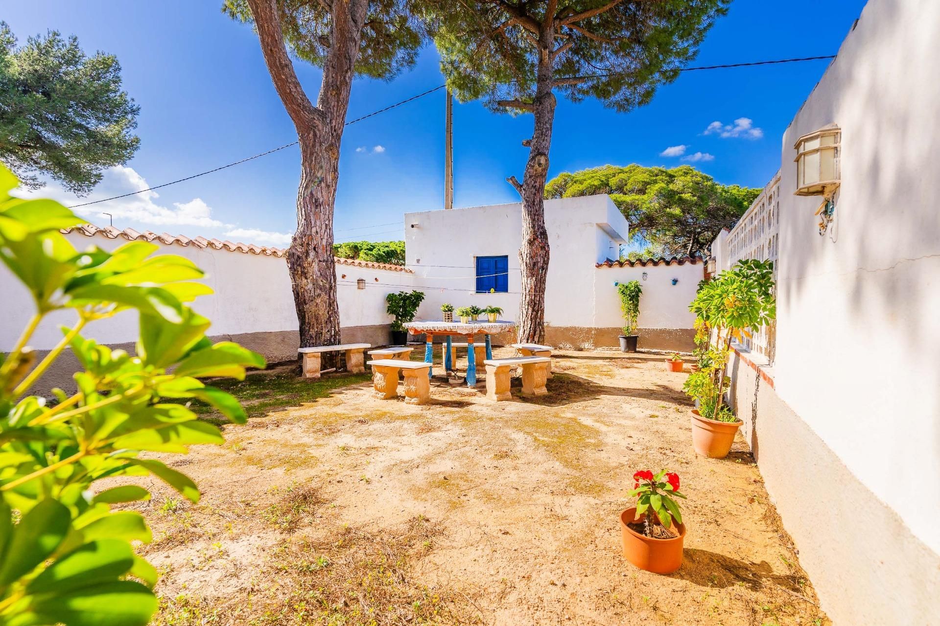 Jardí de Casa o xalet en venda en Chiclana de la Frontera amb Jardí privat