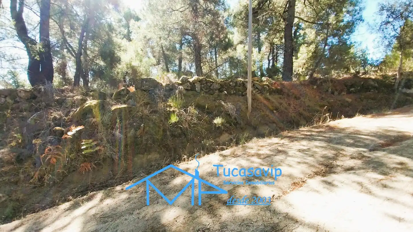 Terreno en venta en Cadalso de los Vidrios