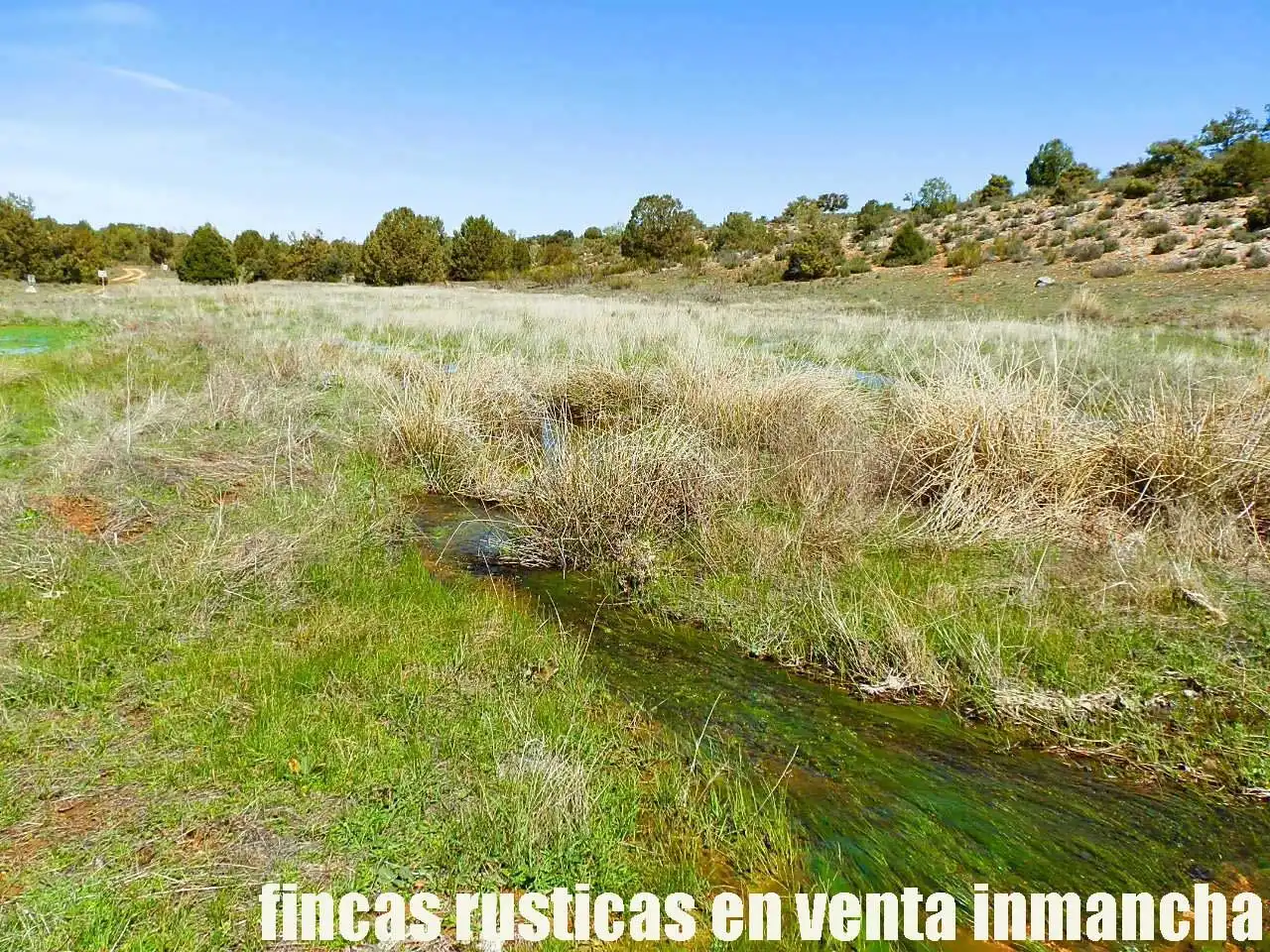 Lands and plots for sale in Ossa de Montiel, imagen 17