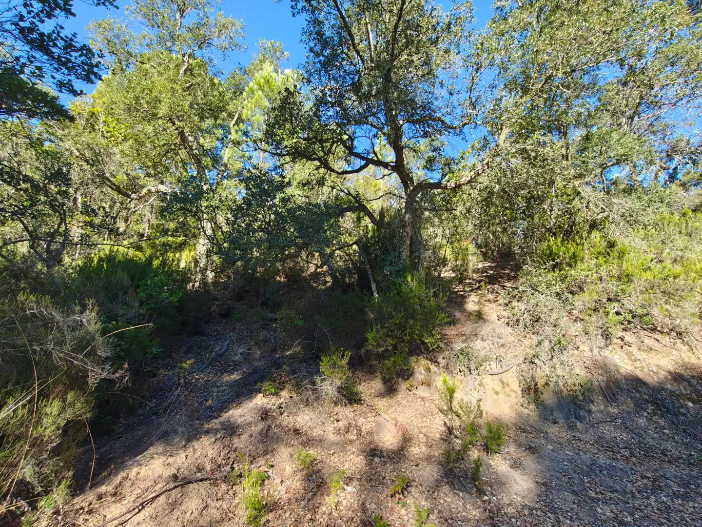 Terreno rustico in vendita a N/A, imagen 7