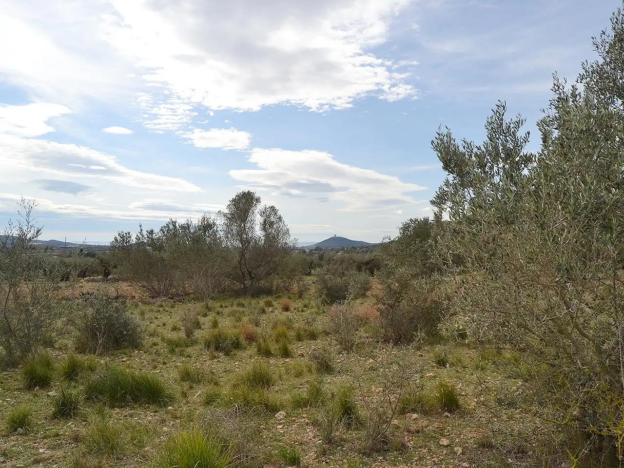 Terreny rústic en venda a Pont Godall/Dressera/Ermita, imagen 4