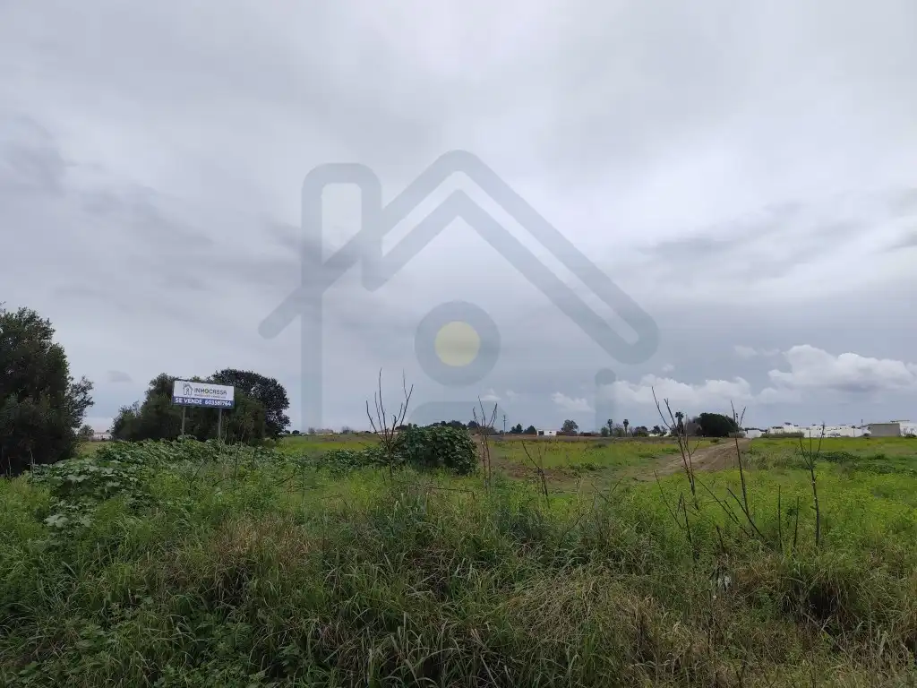 Terreno rústico en venta en Los Palacios y Villafranca, imagen 2