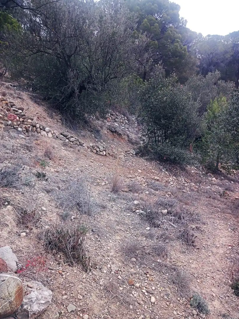 Land for sale in Olesa de Montserrat