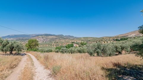 Foto 5 de Finca rústica en venta en Polígono Polígono 9 Parcela 130 Herradores. Illora, Íllora, Granada