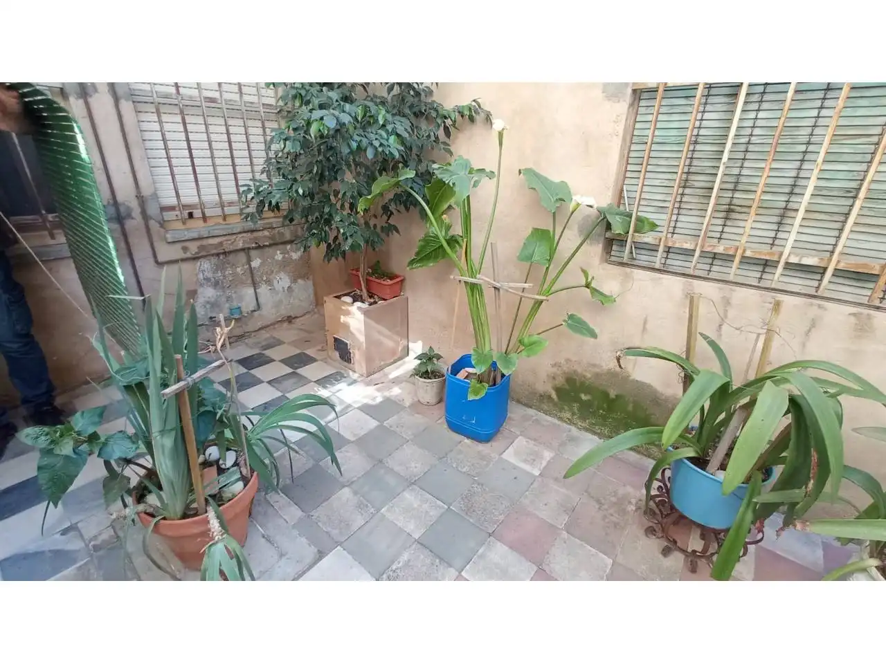 Houses for sale in Calle CAMPOAMOR, Centro