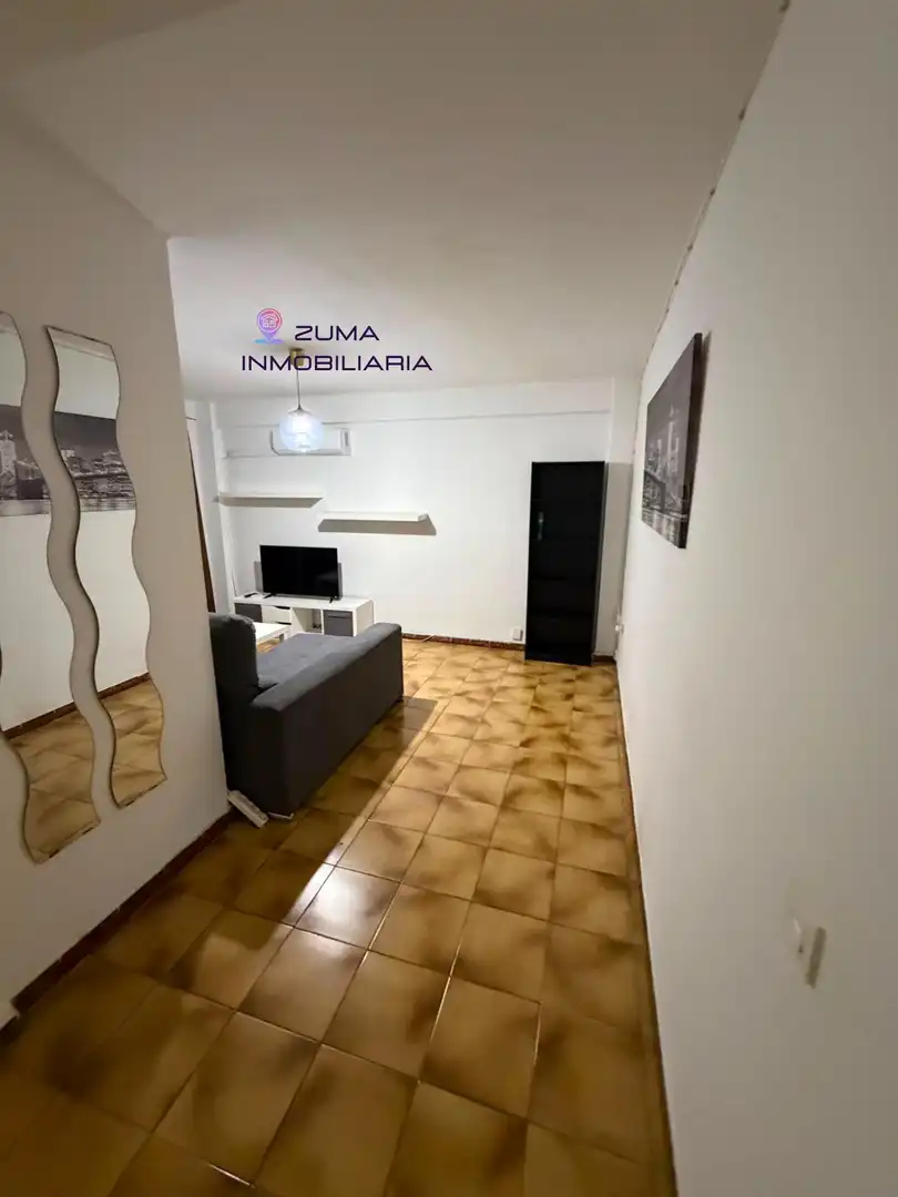 Living room of Flat for rent in Málaga  with Air Conditioner, Terrace and Furnished