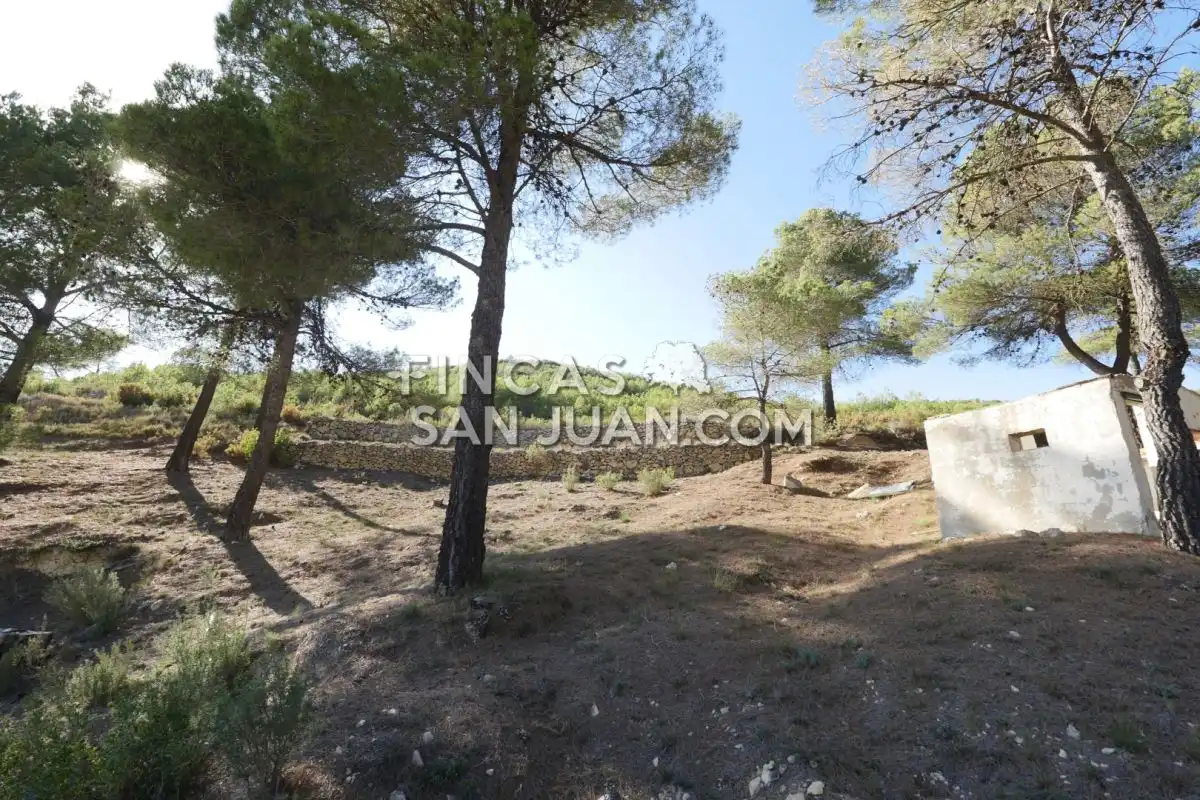 Residential zum Verkauf in Torremanzanas / La Torre de les Maçanes