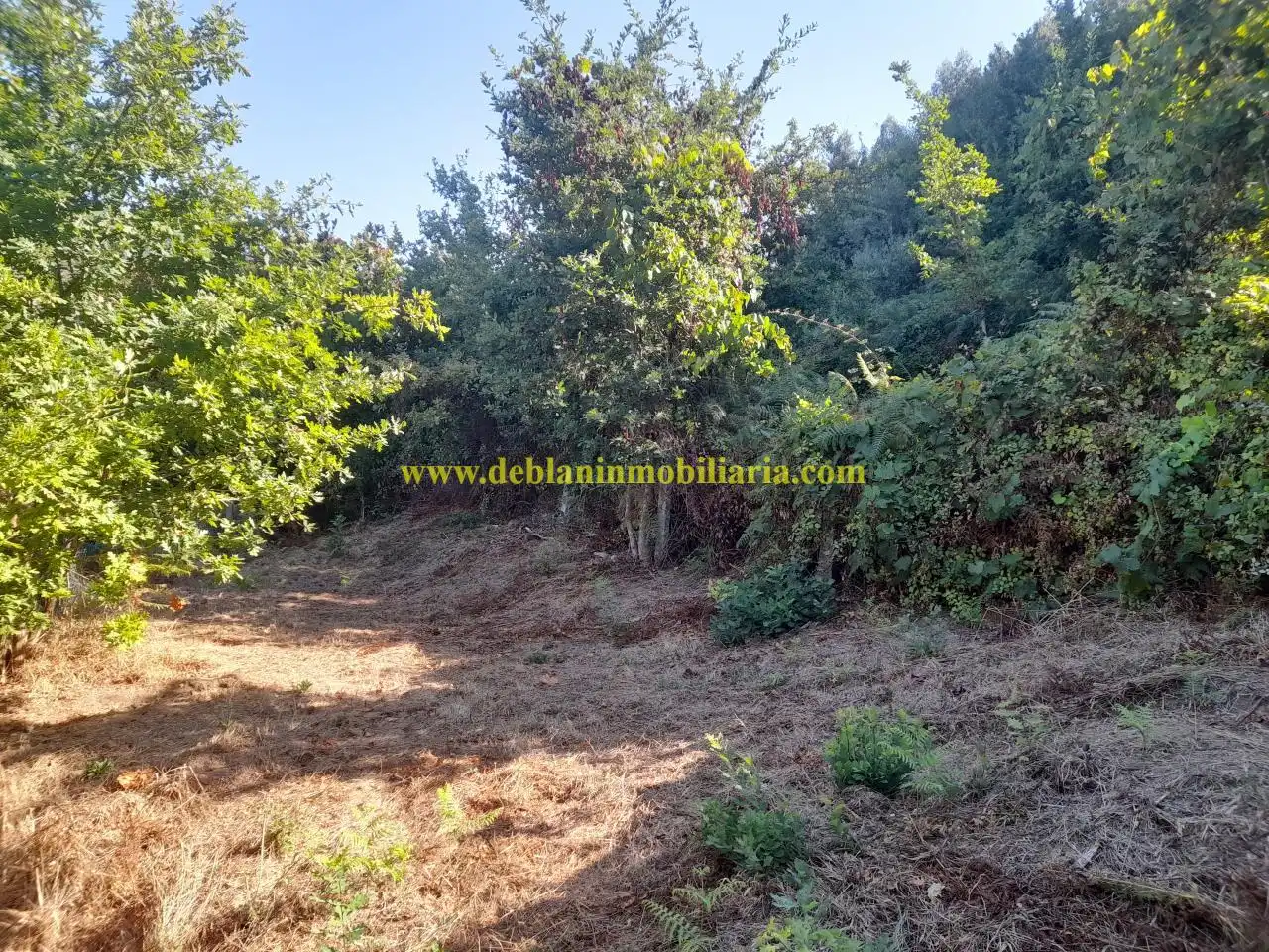 Finca rústica en venta en Tomiño con Jardín privado
