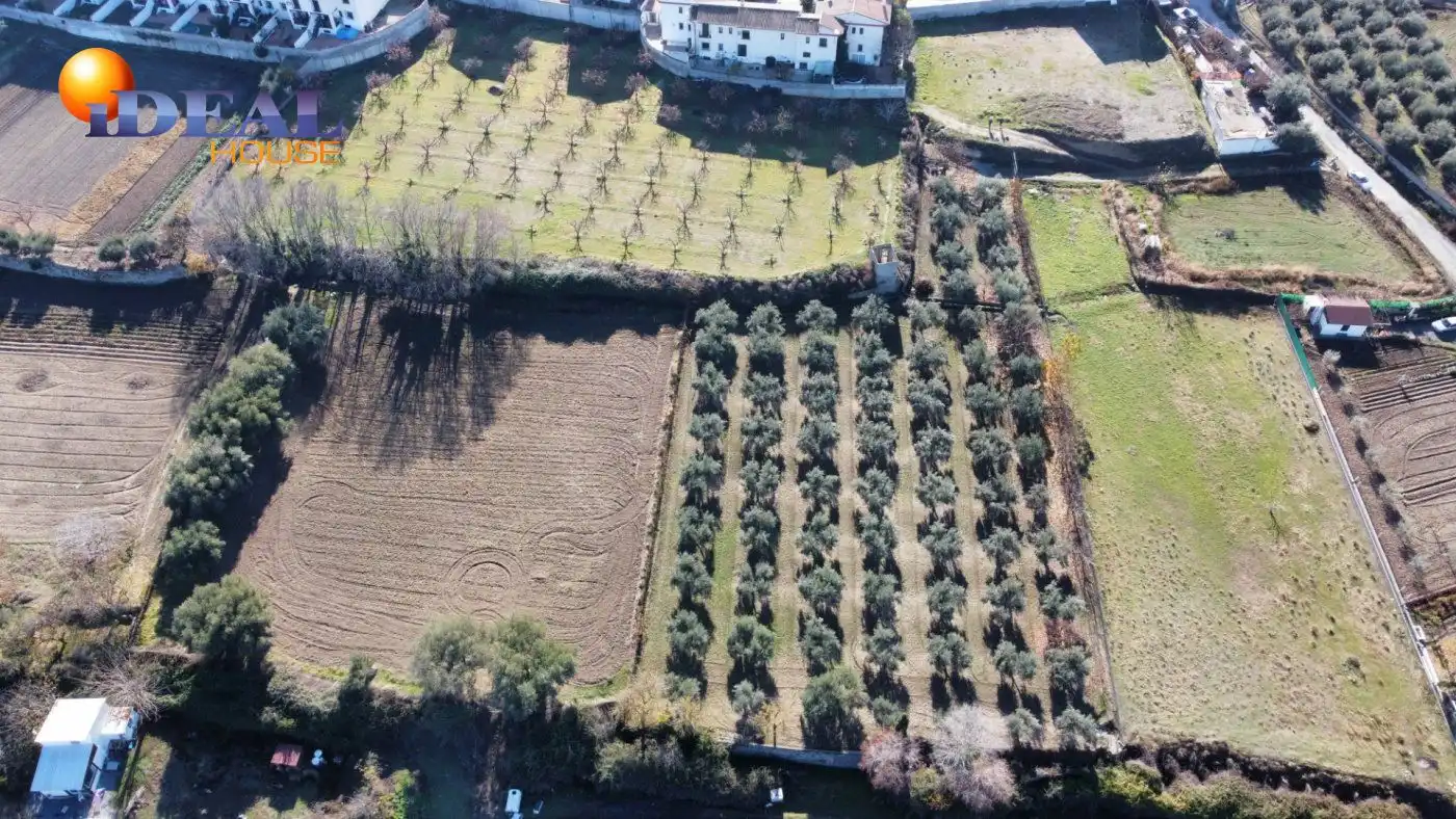 Finca rústica en venta en La Zubia Ciudad