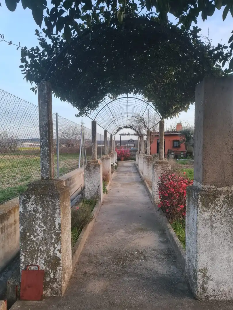 Terreni e lotti in vendita a Patrocinio - Nueva Talavera, imagen 11