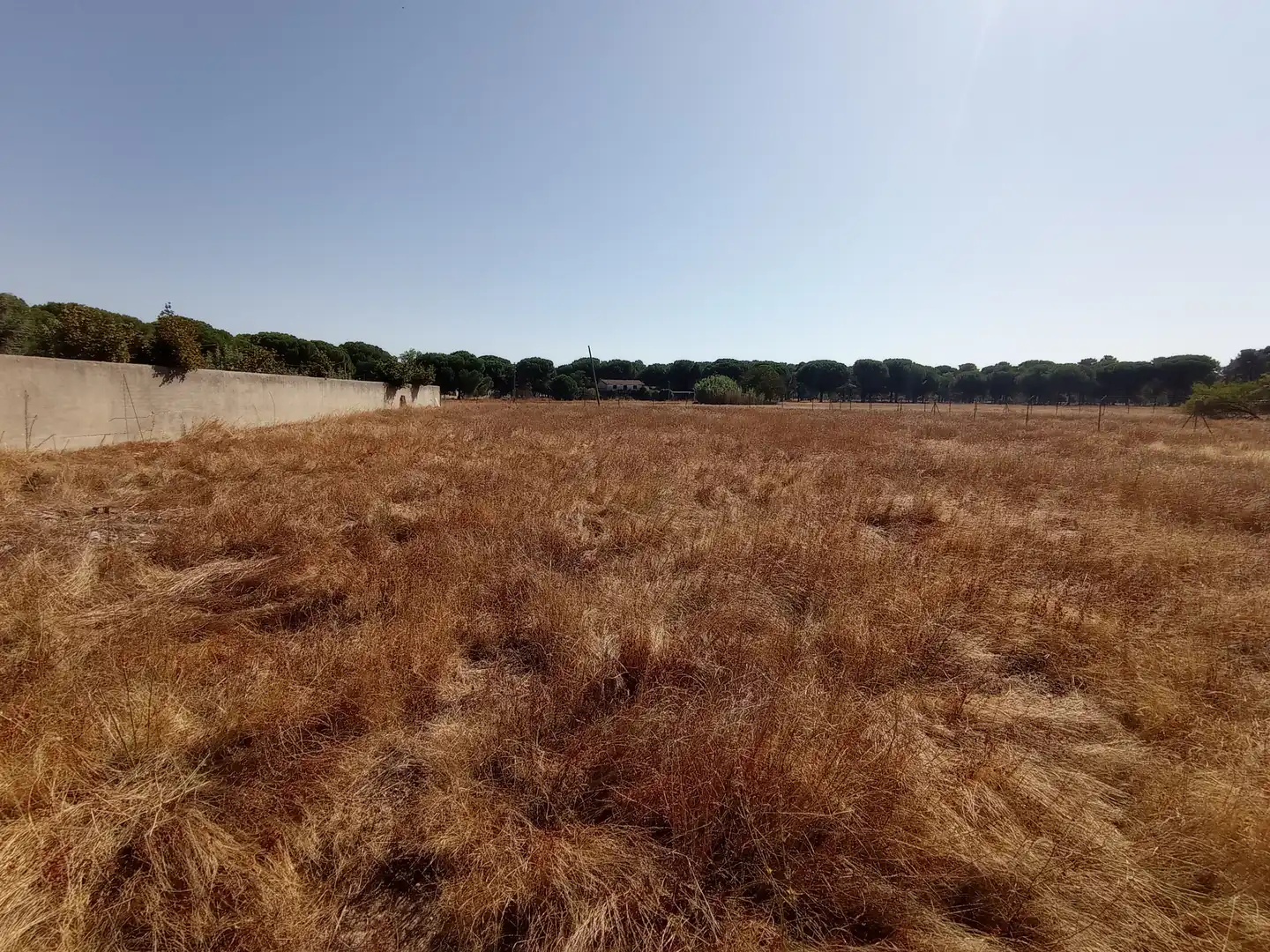 Terreno industrial en venta en Laguna de Duero