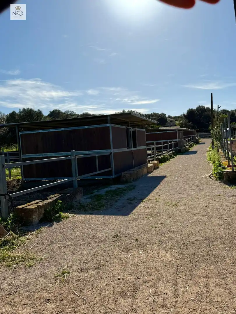 Vista exterior de Finca rústica en venta en Costitx