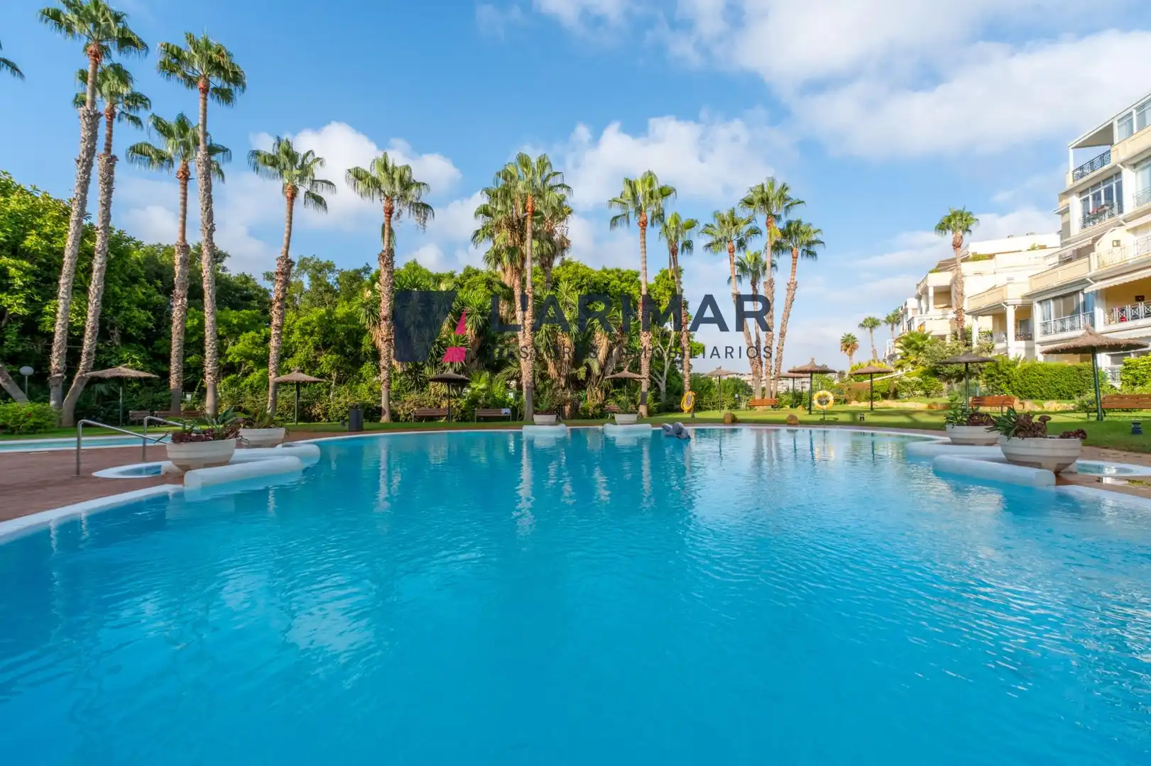 Piscina de Planta baixa en venda en Alicante / Alacant amb Terrassa i Piscina comunitària