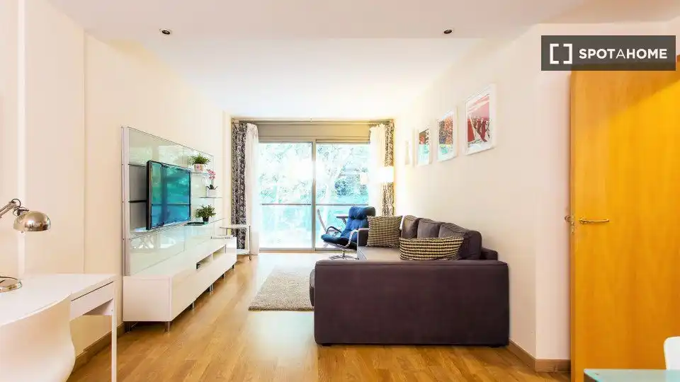 Living room of Study for share in Sant Martí