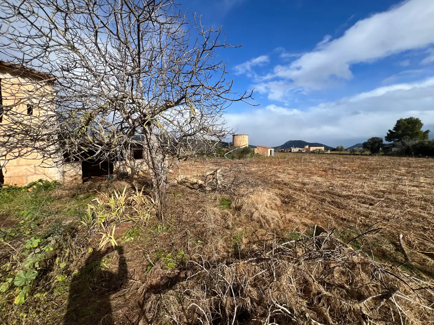 Rural land for sale in Búger, imagen 5