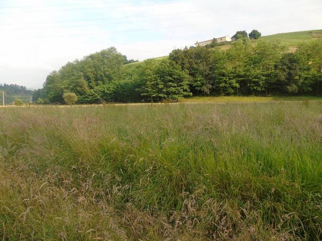 Terreno en Venta en Santa María de Cayón