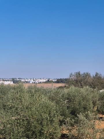 Terreno en Venta en Diseminado Diseminados en Pedanías Sur