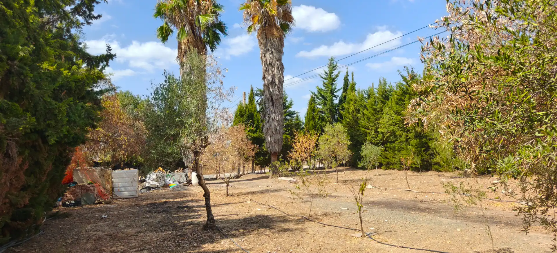 Casa rústica amb piscina en venda a Las Cabezas de San Juan, imagen 4
