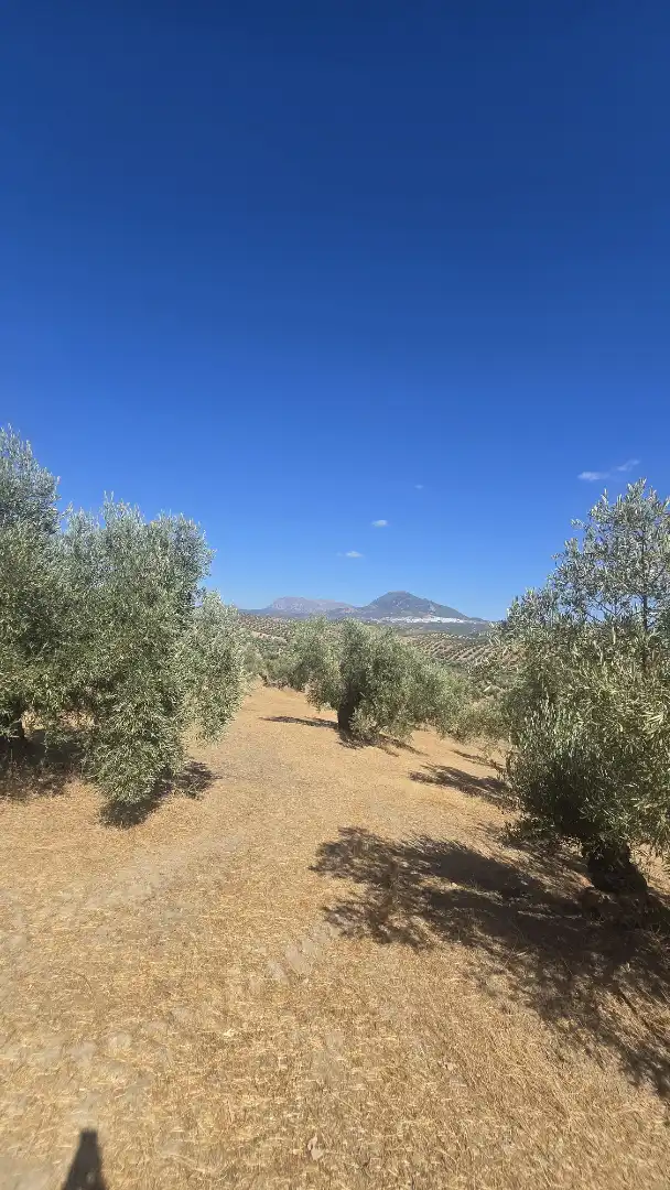 Terrain rustique à vendre à Las Vegas - Campoaras, imagen 12