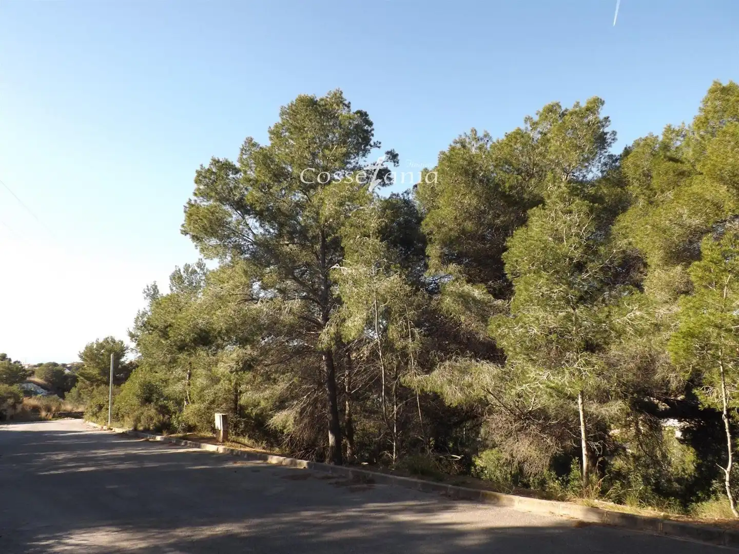 Terreno rustico in vendita a de Santa Maria de Montserrat