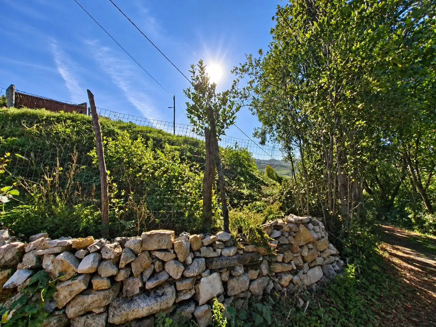 Terrain rustique à vendre à Camino de Caldones 2380, imagen 6