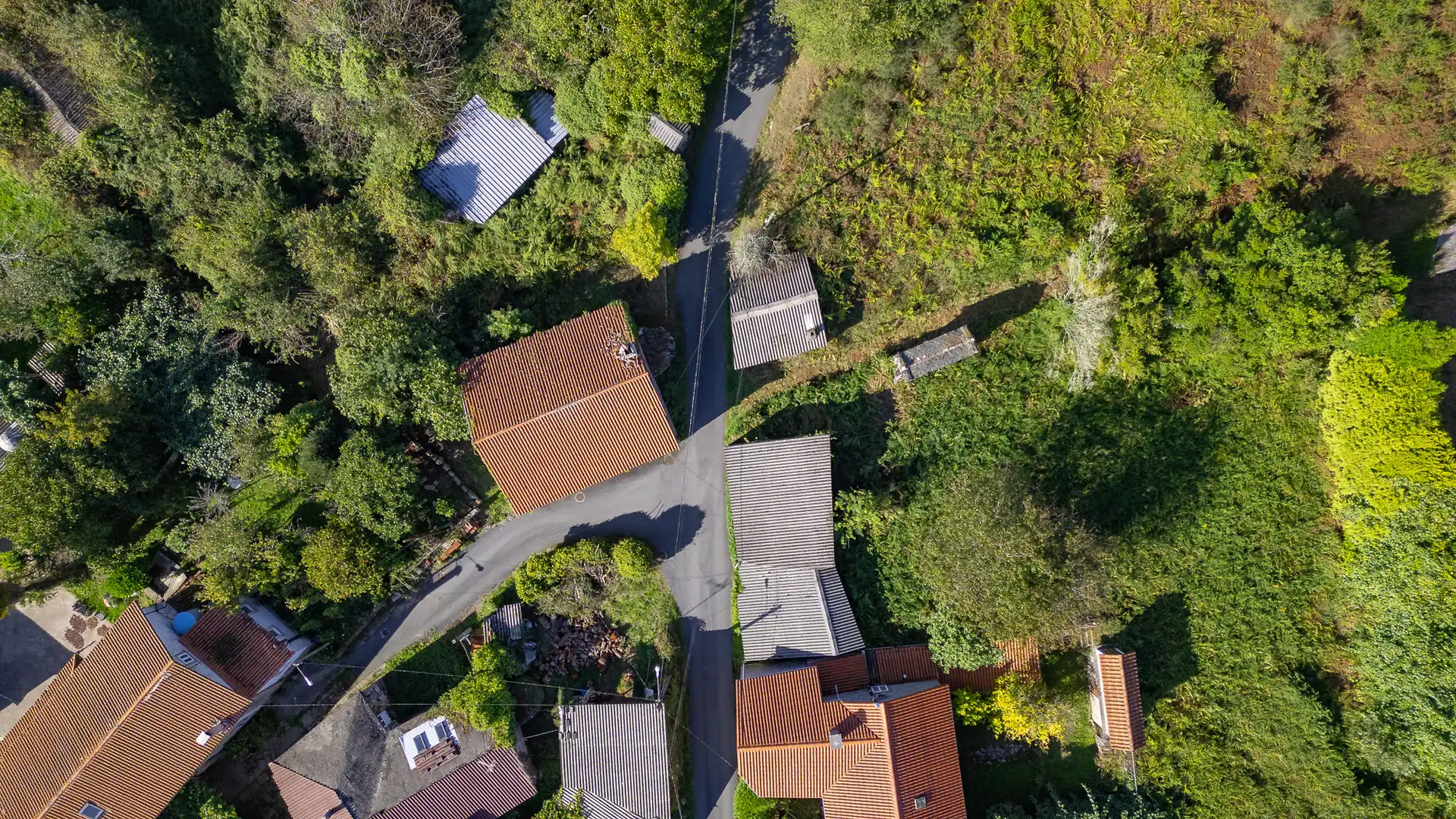 Exterior view of Country homes for sale in Vilarmaior