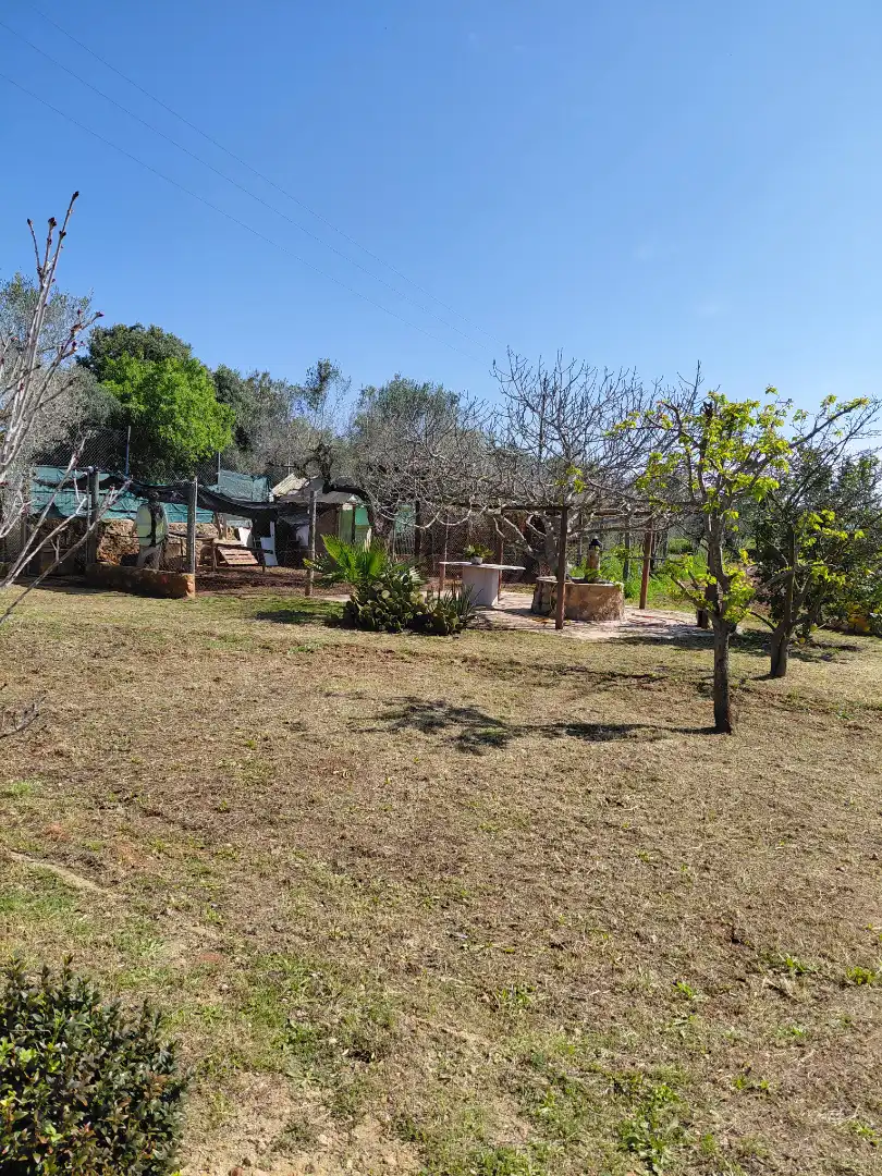 Terreno rústico en venta en Banyeres del Penedès, imagen 4