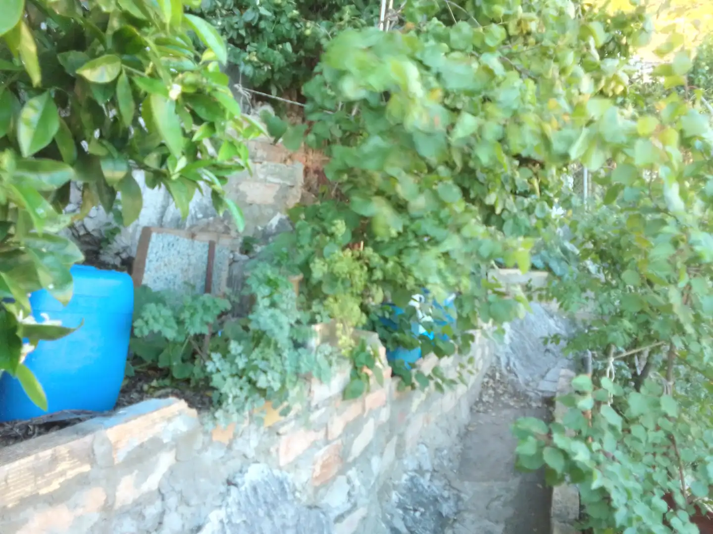 Casa rústica amb jardí en venda a Ubrique, imagen 31