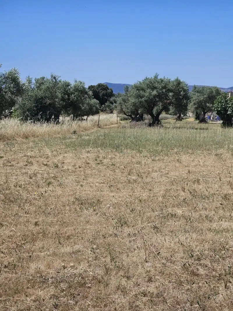 Chalet con terraza en venta en Malpartida de Cáceres, imagen 72